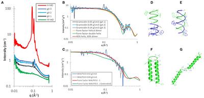 Membrane Protein Structures in Lipid Bilayers; Small-Angle Neutron Scattering With Contrast-Matched Bicontinuous Cubic Phases